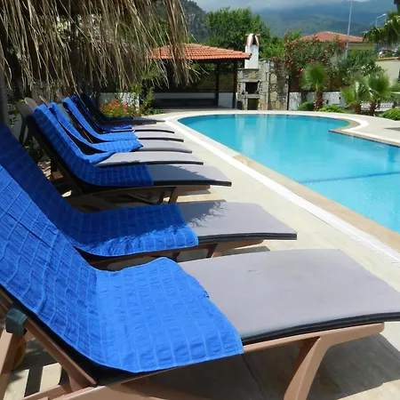 Ada Villa *